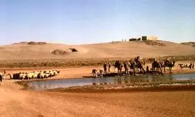 عصر کشاورزی احتمالا در سوریه و با انفجار یک دنباله دار، آغاز شده است