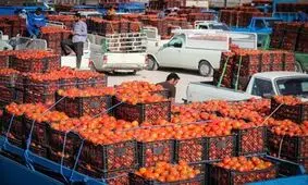 قیمت گوجه فرنگی به مرز ۱۰۰ هزار تومان رسید