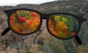 افرادی که کور رنگی دارند، دنیا را چطور می‌بینند؟/ ویدئو