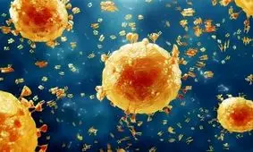 آنفلوآنزا در گیلان و مازندران در آستانه هشدار