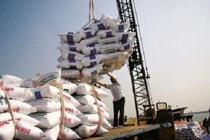 تکذیب خبر رفع ممنوعیت واردات برنج/ تمایل مردم شمال به خرید محصولات خارجی