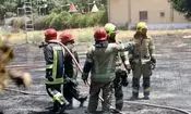 ۱۰۰ اصله درخت در مشهد طعمه حریق شد 