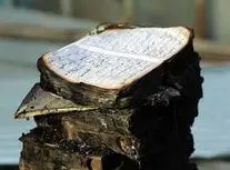 اغتشاشگران در همدان قرآن را به آتش کشیدند/ ویدئو