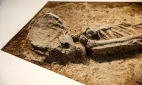 محل کشف زن ۷ هزار ساله تهران پارکینگ موتور شد!

