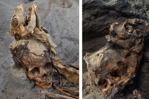 چرا ۵۰۰ سال پیش صد‌ها کودک به همراه حیوانات «قربانی» شدند؟/ عکس
