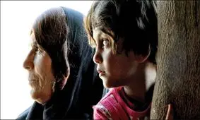 زنگ خطر جمعیت در 7 استان