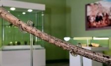 «فلوت» ۸ هزار سالۀ ایرانی که در شاهرود کشف شد