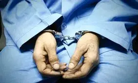 حمله مرد شیشه ای به زنان از میان شمشادها