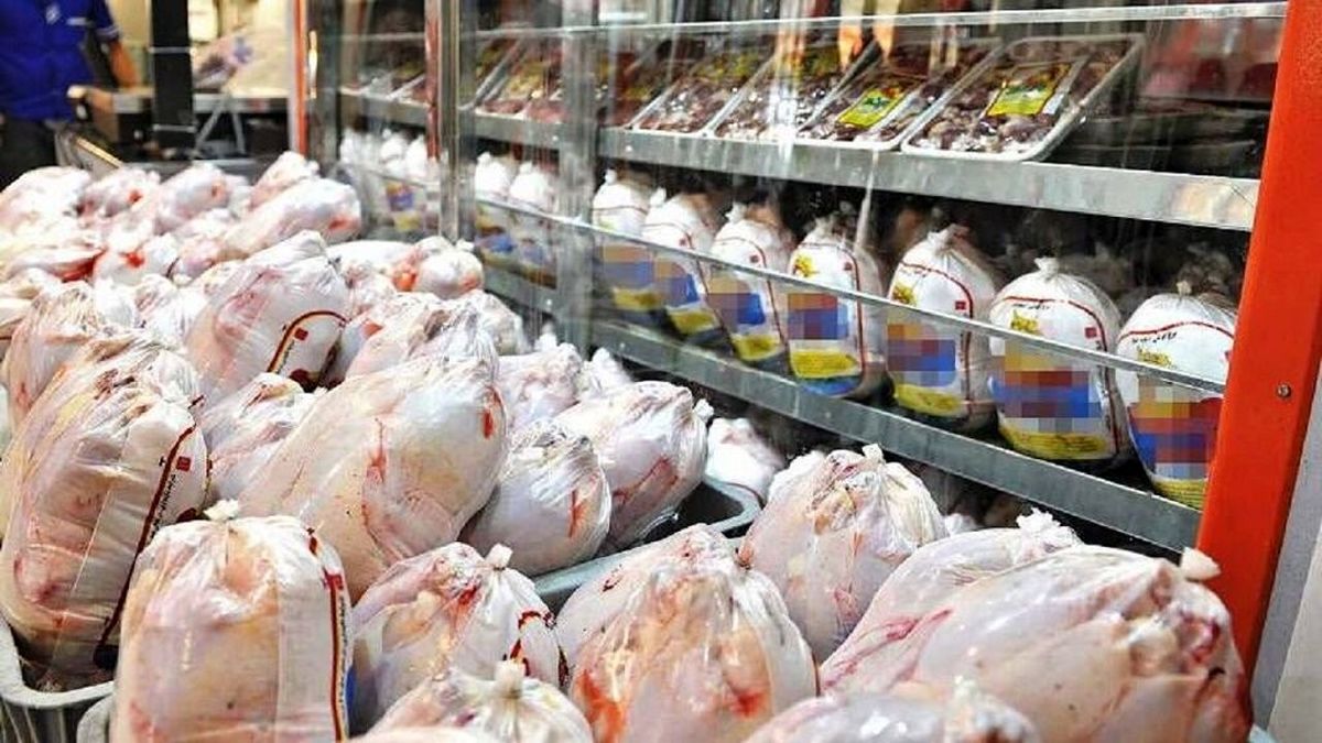 توزیع ۱۷۰ تن مرغ در تهران/ ویدئو