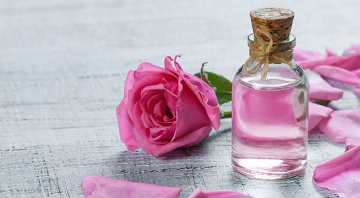 ۲ نوشیدنی معجزه آسا برای سالمندان | با این نوشیدنی‌ از بروز چین و چروک پیشگیری کنید