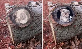 خلاقیت جذاب هنرمندی که تخیلات کودکانه را به خیابان‌ها می‌آورد