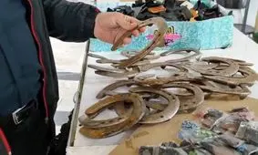   رمال حرفه ای کرج در دام پلیس افتاد