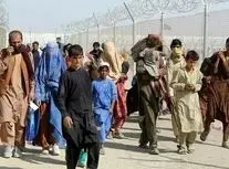 هزینه های 40 میلیونی افغان ها که نتیجه ای نداد/ ویدئو