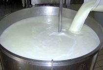 شیر ۳۰ درصد گران شد

