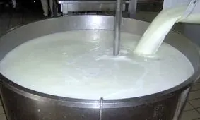 شیر ۳۰ درصد گران شد

