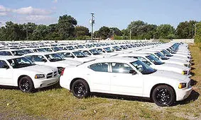 چرا ماشین سفیدرنگ این همه طرفدار دارد؟