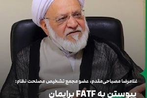 پیوستن به FATF برایمان محدودیت ایجاد می‌کند 