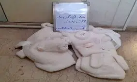 کشف حوله آغشته به شیشه در فرودگاه حضرت امام (ره)