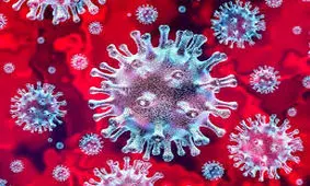 شهرستان‌ های آبی استان کرمان را بشناسید 