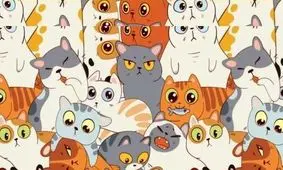  فقط 5 ثانیه فرصت دارید، سوسیس گم شده میان گربه ها را بیابید/ عکس