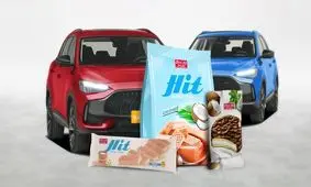 شیرین عسل چگونه خودروساز شد؟