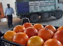 روایت تکان دهنده یک تولیدکننده از رنگ کردن پرتقال ها در بازار ایران/ ویدئو