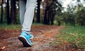 دکتر فیزیوتراپ: روزانه 10هزار قدم پیاده روی کنید /مردم باید روش صحیح و مستمر فعالیت جسمی را بشناسند