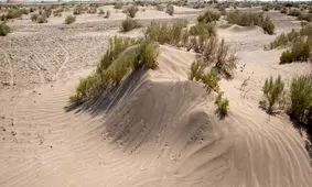 ۱۸ نکته درباره فواید بیابان‌ها و گونه‌های جانوری و گیاهی آن