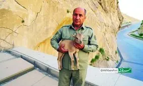 قاتل «هدایت الله دیده بان» همچنان متواری است