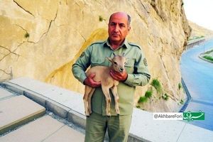 قاتل «هدایت الله دیده بان» همچنان متواری است