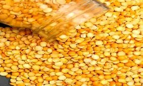 18 مورد از مهم ترین خواص و مضرات لپه برای سلامتی بدن