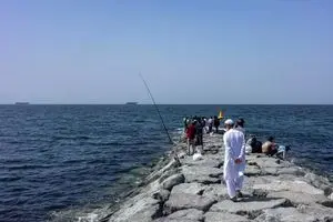 دریانورد هندی که در تنگه هرمز پس از حمله به کشتی محل خدمتش ناپدید شده بود، جانش را از دست داده است