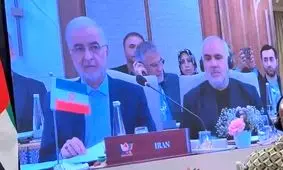 وزیر کشور: صدای واحد و قاطع بریکس در دفاع از حقوق بین‌الملل پیام مهمی برای جامعه جهانی دارد