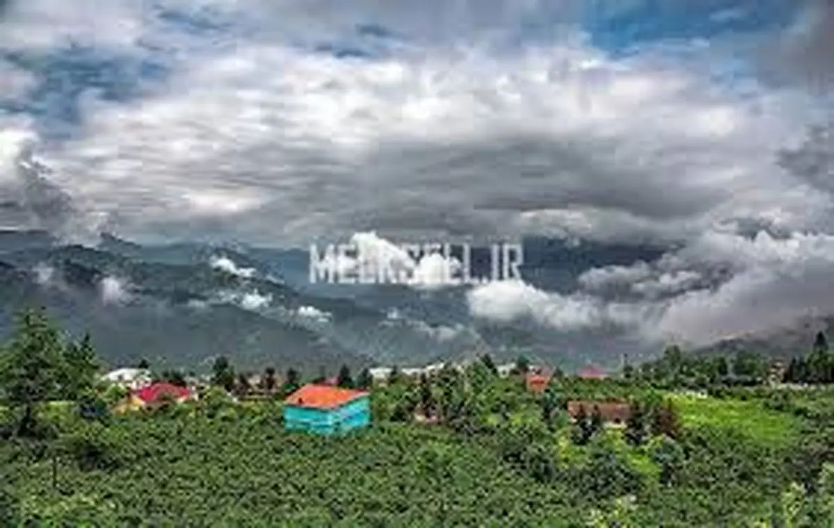 مقایسه آلودگی هوا چمستان مازندران به فاصله یک سال در آذر ماه/ ویدئو