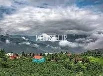 مقایسه آلودگی هوا چمستان مازندران به فاصله یک سال در آذر ماه/ ویدئو