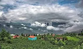 مقایسه آلودگی هوا چمستان مازندران به فاصله یک سال در آذر ماه/ ویدئو
