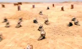 ارتشی از سوسک‌های سایبورگ در بیابان رها شدند

