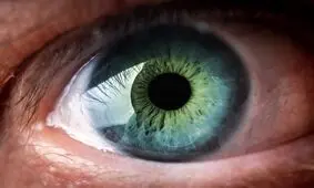 چشم‌ها طول عمر ما را پیش بینی می‌کنند!