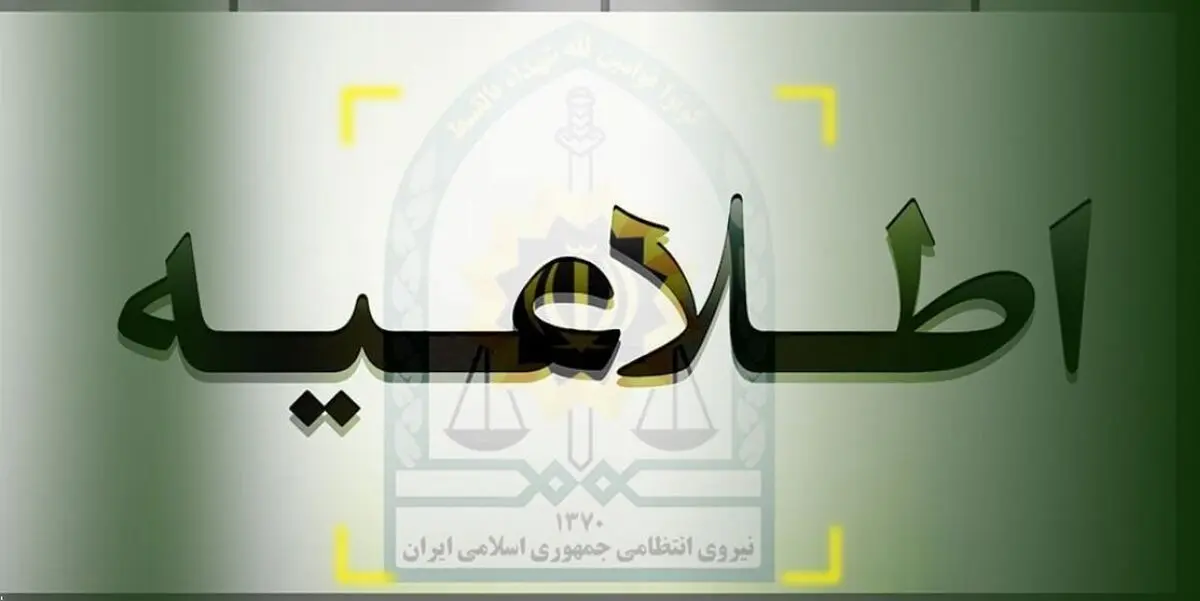 واکنش پلیس به انتشار تصویر خانمی نیمه برهنه در چهارراه جهان کودک تهران/ ویدئو

