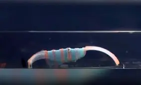 درمان بیماری‌ها با کمک رباتی که در بدن می‌خزد

