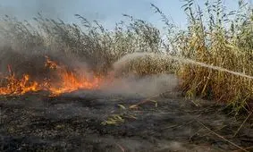 فرمانداری: آتش همچنان بر پیکر تالاب انزلی می‌تازد