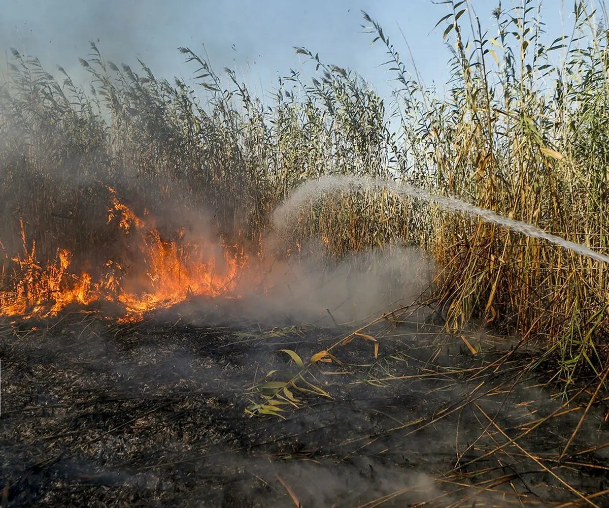 فرمانداری: آتش همچنان بر پیکر تالاب انزلی می‌تازد