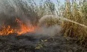فرمانداری: آتش همچنان بر پیکر تالاب انزلی می‌تازد