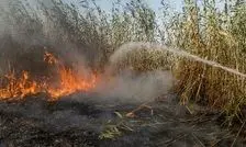 فرمانداری: آتش همچنان بر پیکر تالاب انزلی می‌تازد