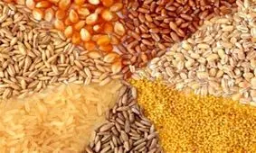 قیمت مصوب جدید نهاده های دامی، روغن و شکر خام اعلام شد