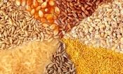 قیمت مصوب جدید نهاده های دامی، روغن و شکر خام اعلام شد