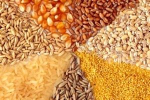 قیمت مصوب جدید نهاده های دامی، روغن و شکر خام اعلام شد