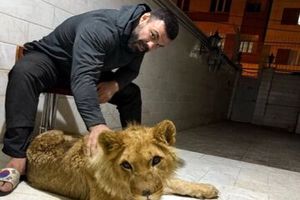 شکایت محیط زیست تهران از باغ‌ وحش ارم