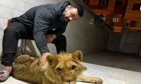 شکایت محیط زیست تهران از باغ‌ وحش ارم