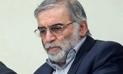 بعد از شهادت فخری‌ زاده، دنبال بررسی لایه‌های نفوذ نرفتیم